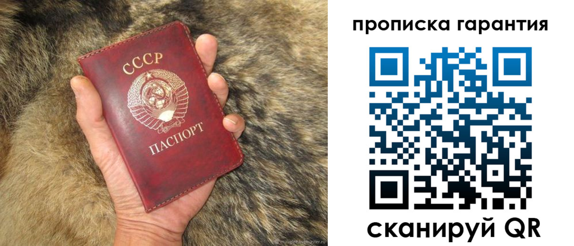 прописка паспорт в Порхове